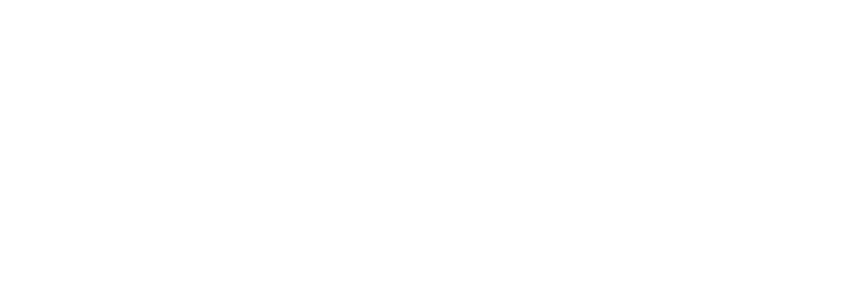 Everything Welding & Safety Logo